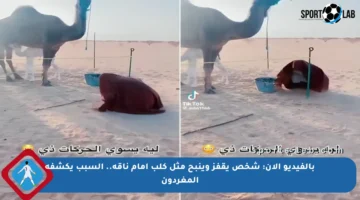 بالفيديو الآن: شخص يقفز وينبح مثل كلب أمام ناقة.. السبب يكشفه المغردون